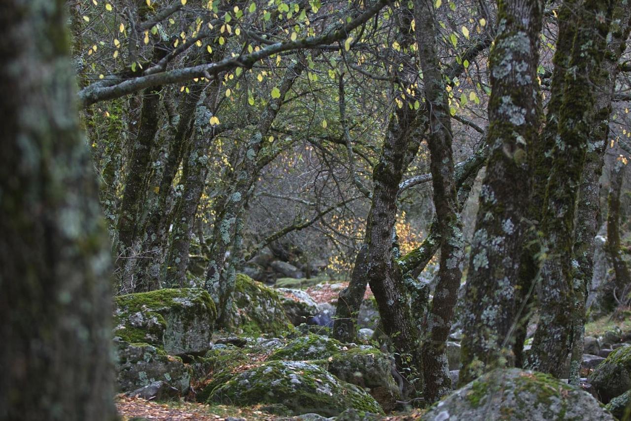 Hostel El Lago, Caceres Jaraiz de la Vera Bagian luar foto